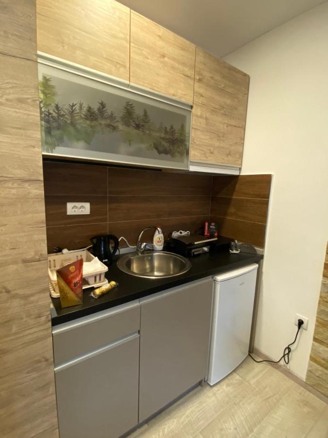 Kopaonik Apartmani Milmari - Katic ภายนอก รูปภาพ